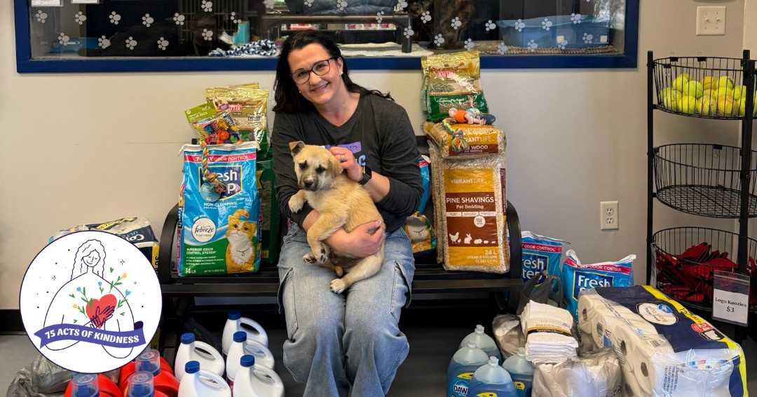 Warren-County-Animal-Shetler.jpg Warren-County-Animal-Shetler.jpg